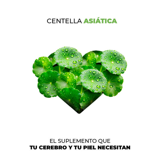 Centella asiática: el suplemento que tu cerebro y tu piel necesitan